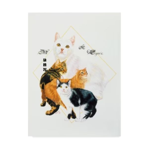 Barbara Keith 'Cymric And Manx' Canvas Art, 18x24, Trademark Fine Art, Mfr#: ALI25235-C1824GG